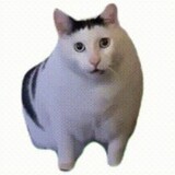 miyinpromax