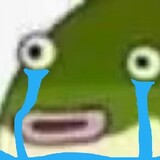 shangxindieyutou