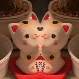 Yetong Qi