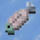 yizhicoldfish