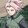 unknowngirl_4