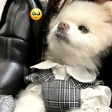kexueshiminzhu___ia