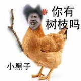 xiaojinheizicaixukun