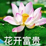 qinwenqusousuo