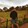 JSCbackyard