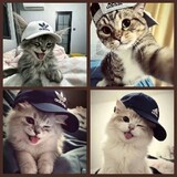 Wan hayfa Awliya