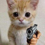 แมวเหมียวกระชากคอ