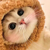 miaomiaomeme_