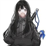 sheinFerry