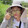 hai____jiangbaicao