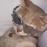 gaowanfei___