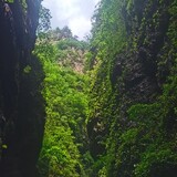 bulunfadejingshen