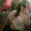 Princess Alivio_9831