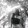 bili_1994166945
