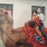 weiweizaizheyo