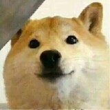 7xiniao