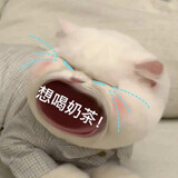 guaiguaiheyikou
