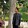 MRIBRAHIM