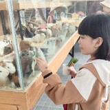Thanh Nguyễn_9201