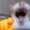 xiqaq_