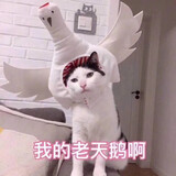 yizhiyaojiang