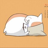tangpingde___