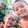 timy_112191