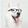quanboshidr_dog