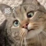 shijianbushijieyaoo