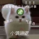 lishangshuang