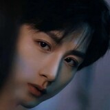 chenpiyidianyebupi