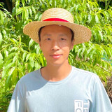 xiangcunxiaobin