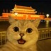 yeyingyu___ya