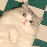 yoongieww