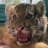 mengmengshoujiluyuan