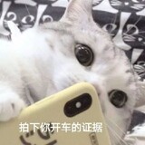 jane_ton