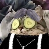 drowsezhubue