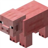 tiangeqwq