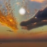 Yehoshuah Dena _3489