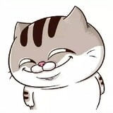 mèo_hiếm_cóa_khó_tìm