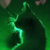 tinkerpin09