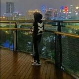 kinassassin