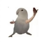 sankuaiwujinyu