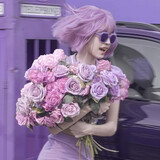 minmincaibushibendan