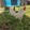 ElITE GAMEFARM