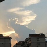 pprscat