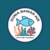 Dunia Bawa Air