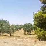 قنزار زنداري