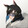 shuaiqidecoke_02