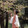 shiaxixiya_